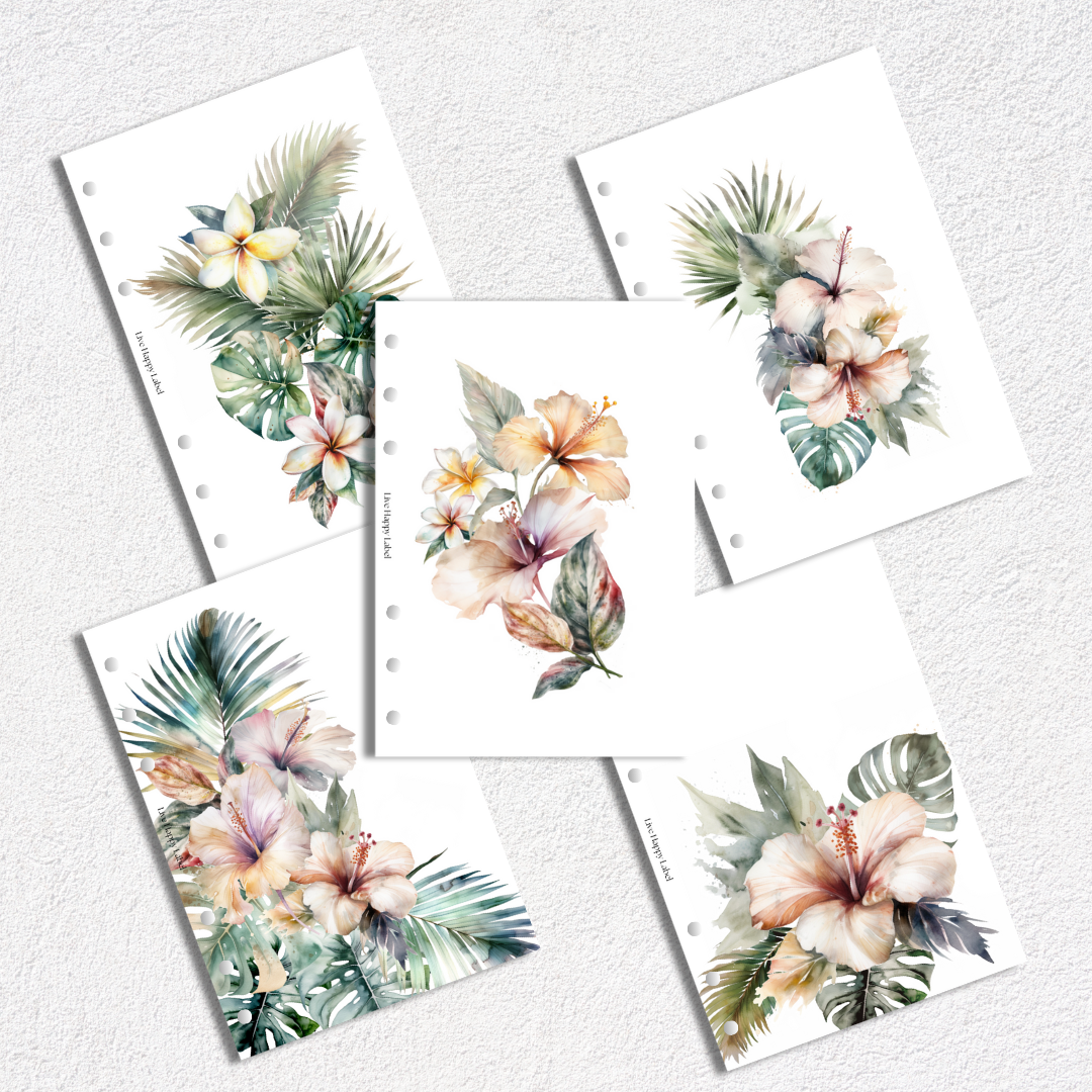 Tropical Haze Dashboards & Covers | Set of 5 | A5, 6-Ring Punch