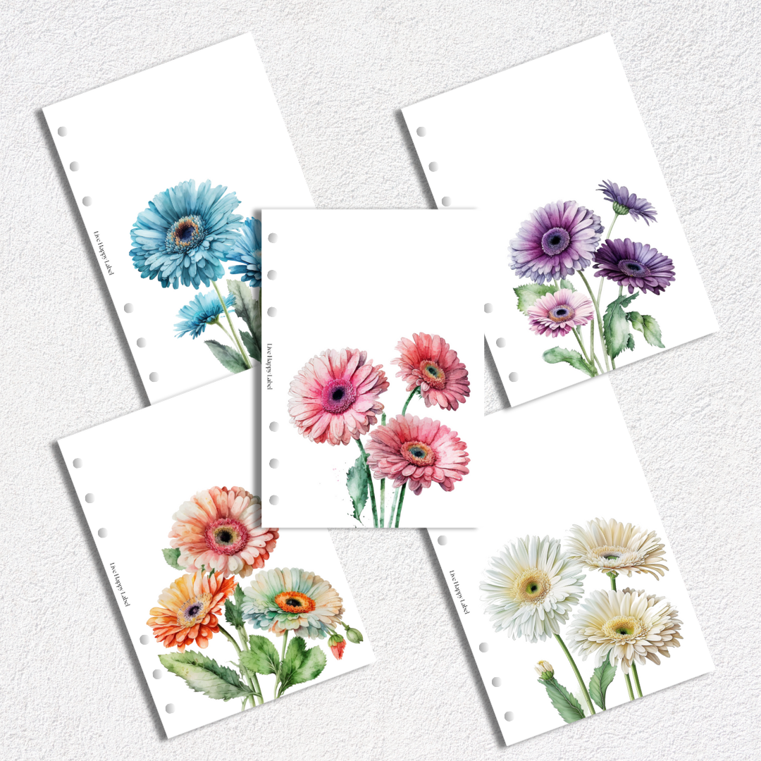 Daisyland Dashboards & Covers | Set of 5 | A5, 6-Ring Punch